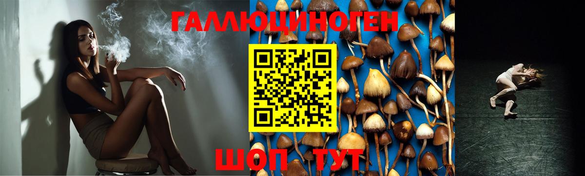 Псилоцибиновые грибы MAGIC MUSHROOMS Ленинск-Кузнецкий